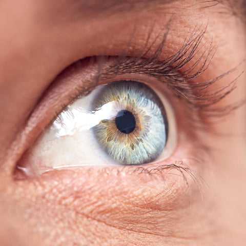 Supplements to support those with glaucoma