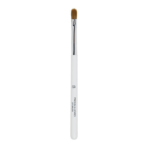 Eye Care Lip brush